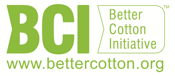 BCI Logo